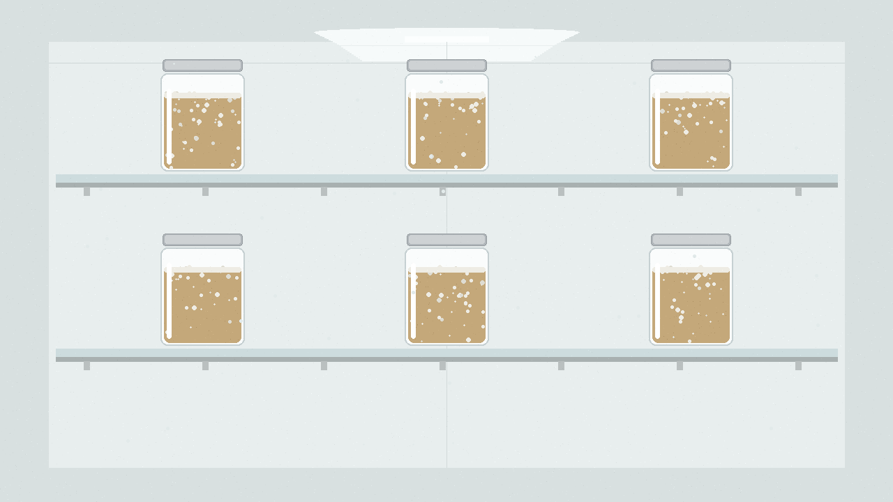 Six glass jars of grain spawn with white mottled mycelium over tan grain, metal lids on, across two refrigerator shelves