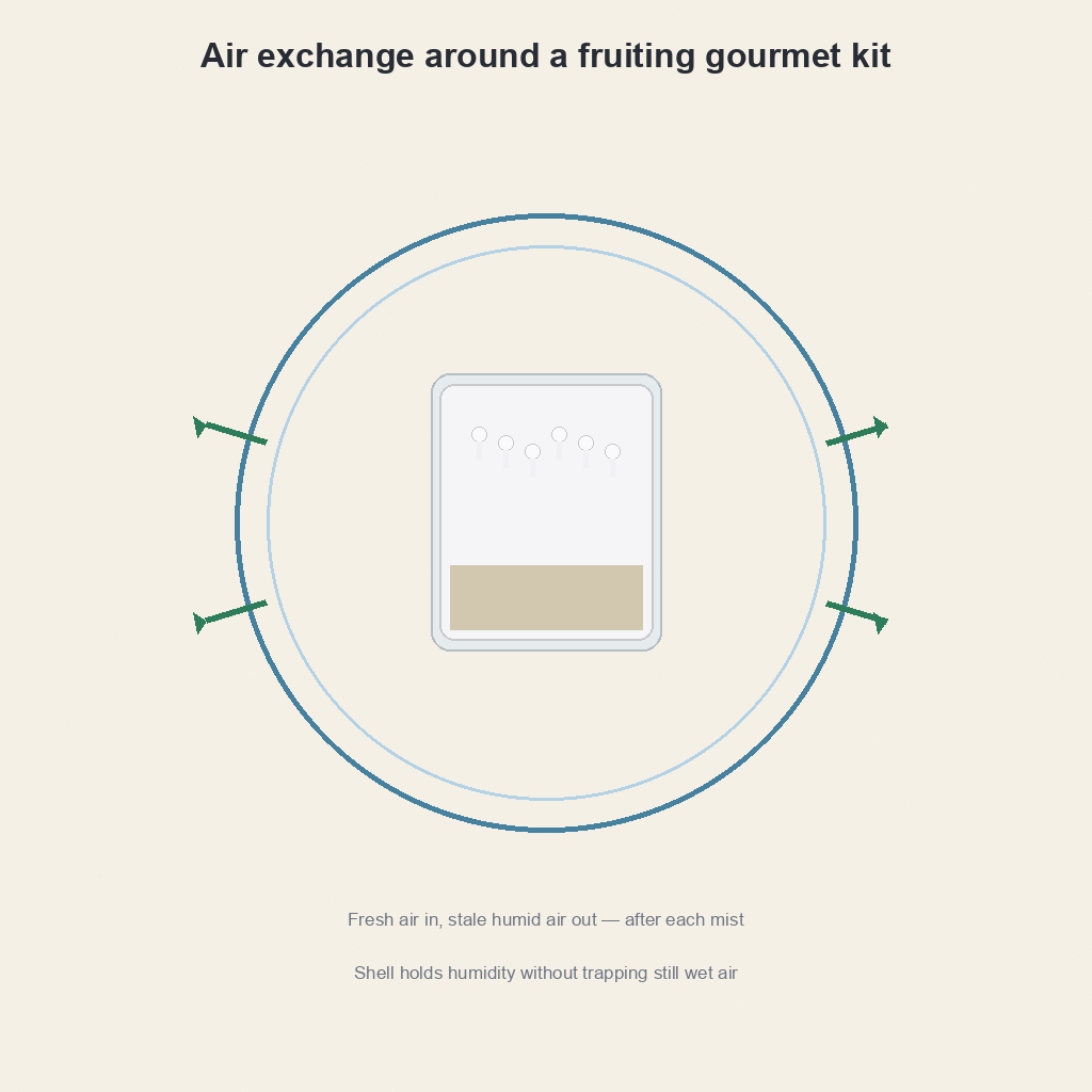 Air exchange around a fruiting gourmet mushroom kit