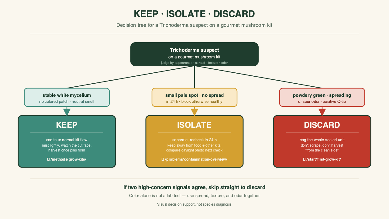Decision tree diagram for green mold on a gourmet kit, starting at "see green patch" and branching through "powdery and expanding," "flat and contained," and "wet and slimy" into keep, isolate, or discard outcomes, with a note that two or more high-concern signals agree means discard.
