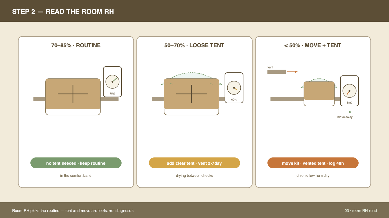 Mini hygrometer placed on a kitchen shelf next to a gourmet mushroom kit, with the probe tucked just inside the opening of the cut face. The display reads room humidity and a slightly higher number at the cut, illustrating the difference between ambient and microclimate.
