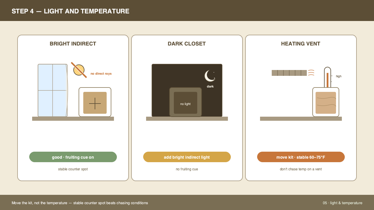 Light and temperature reference panel for gourmet kits: a soft indirect daylight window on the left, a thermometer reading room temperature in the middle, and a kit sitting clear of direct sun on the right. Annotations show the safe temperature range and the daylight cue.