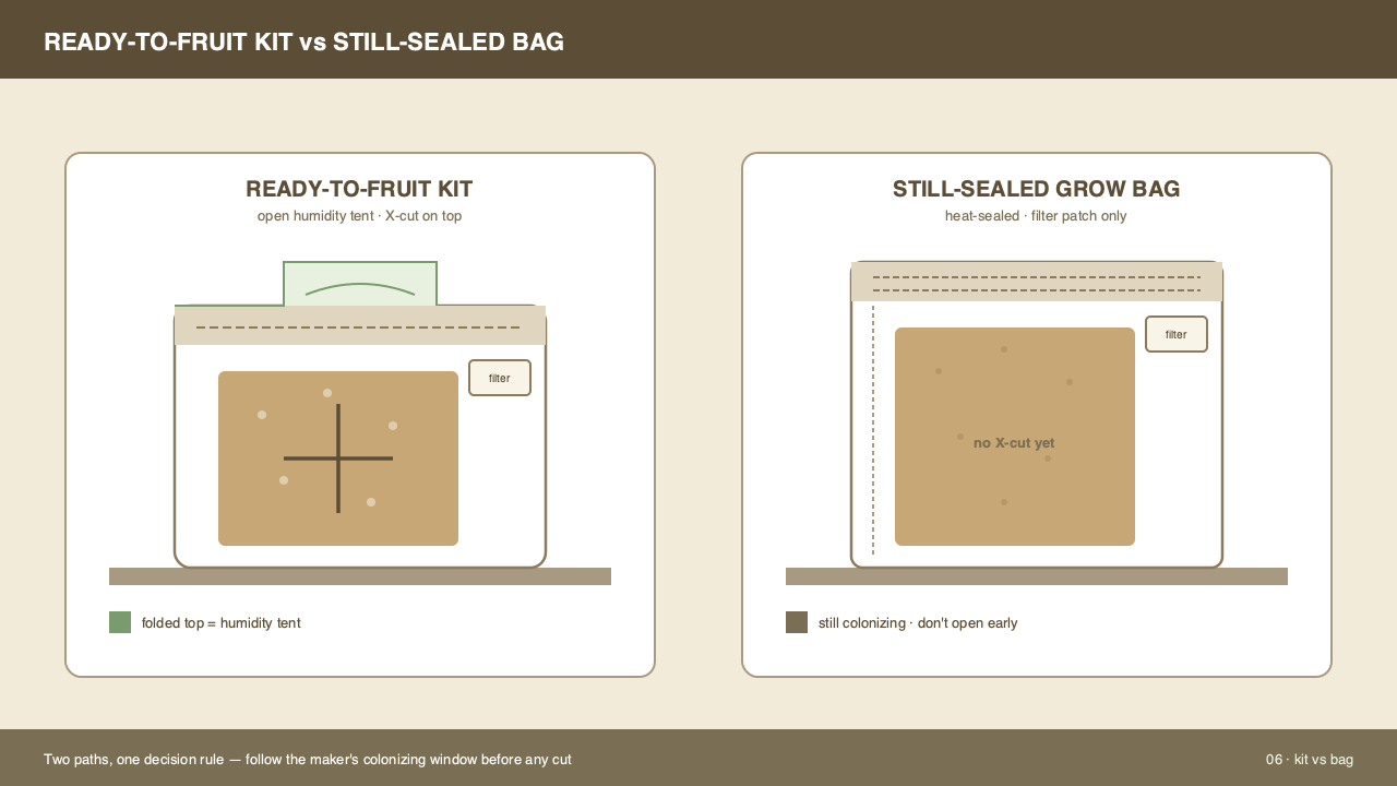 Side-by-side comparison of a small gourmet grow kit on a kitchen counter and a larger fruiting block in a grow bag on a shelf. Annotations point to the cut face, the filter patch, and the typical stall-prone spots for each container.