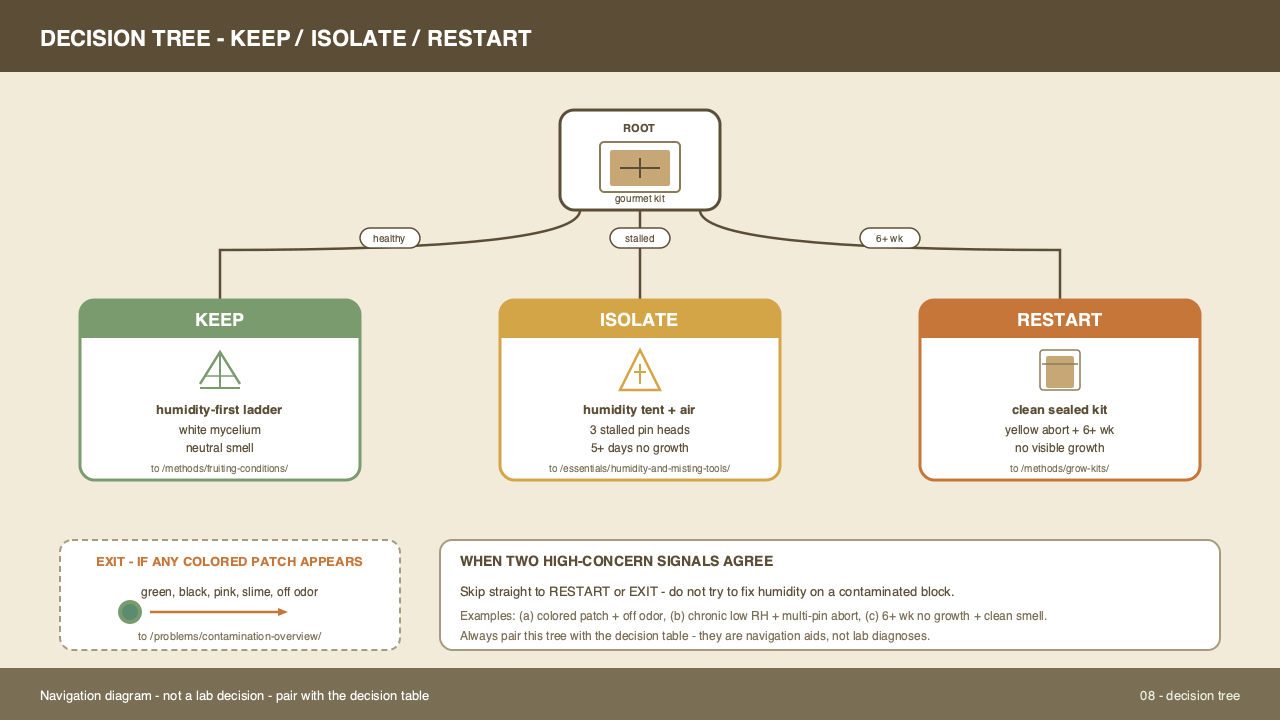 Decision tree for pinning problems: a healthy block with no pins leads to "watch and adjust humidity"; pins that stalled point to "add a tent and shorten misting interval"; yellow tips with a clean smell point to "dry heat stress, move off warm counter"; colored patches or sour smell point to the contamination branch.