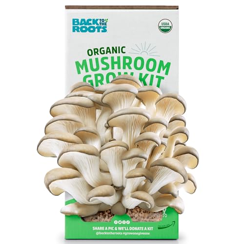 Back to the Roots Organic Oyster Grow Kit, Harvest Gourmet Mushrooms In 10 Days