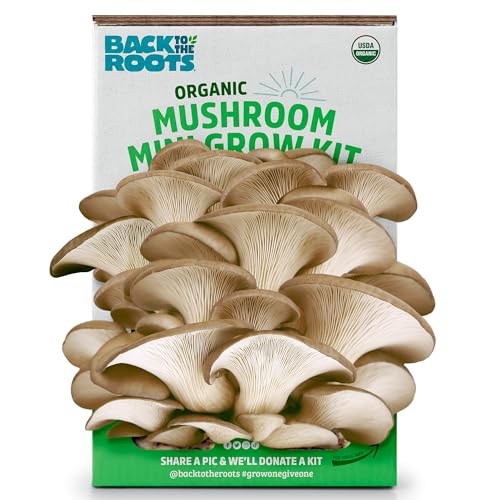 Back to the Roots Organic Mini Mushroom Grow Kit, Harvest Gourmet Oyster Mushrooms in 10 Days