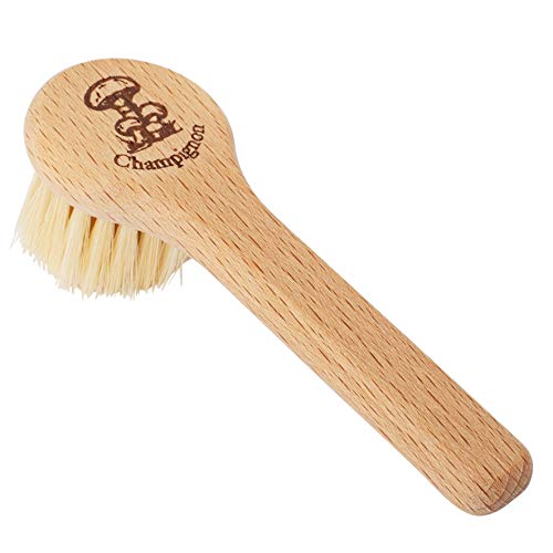 REDECKER Natural Pig Bristle Mushroom Brush Cleaner with Beechwood Handle, 5 inches