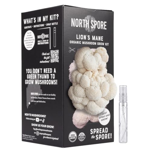 North Spore Organic Lion's Mane Mushroom Grow Kit, 4 lbs