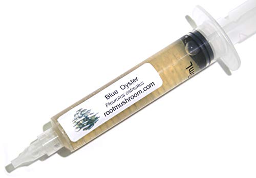 Root Mushroom Farm Blue Oyster Liquid Culture, Pleurotus Species
