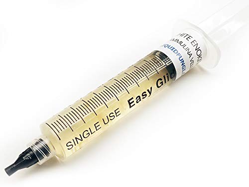 Liquid Fungi Enokitake (Flammulina velutipes) Liquid Culture Syringe