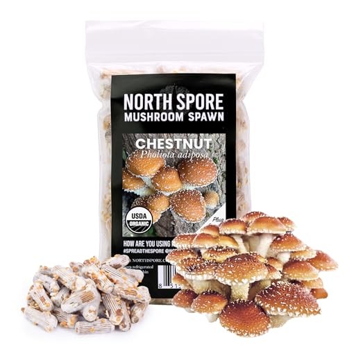 North Spore Organic Chestnut Mushroom Spawn Plugs for Logs, 100 ct