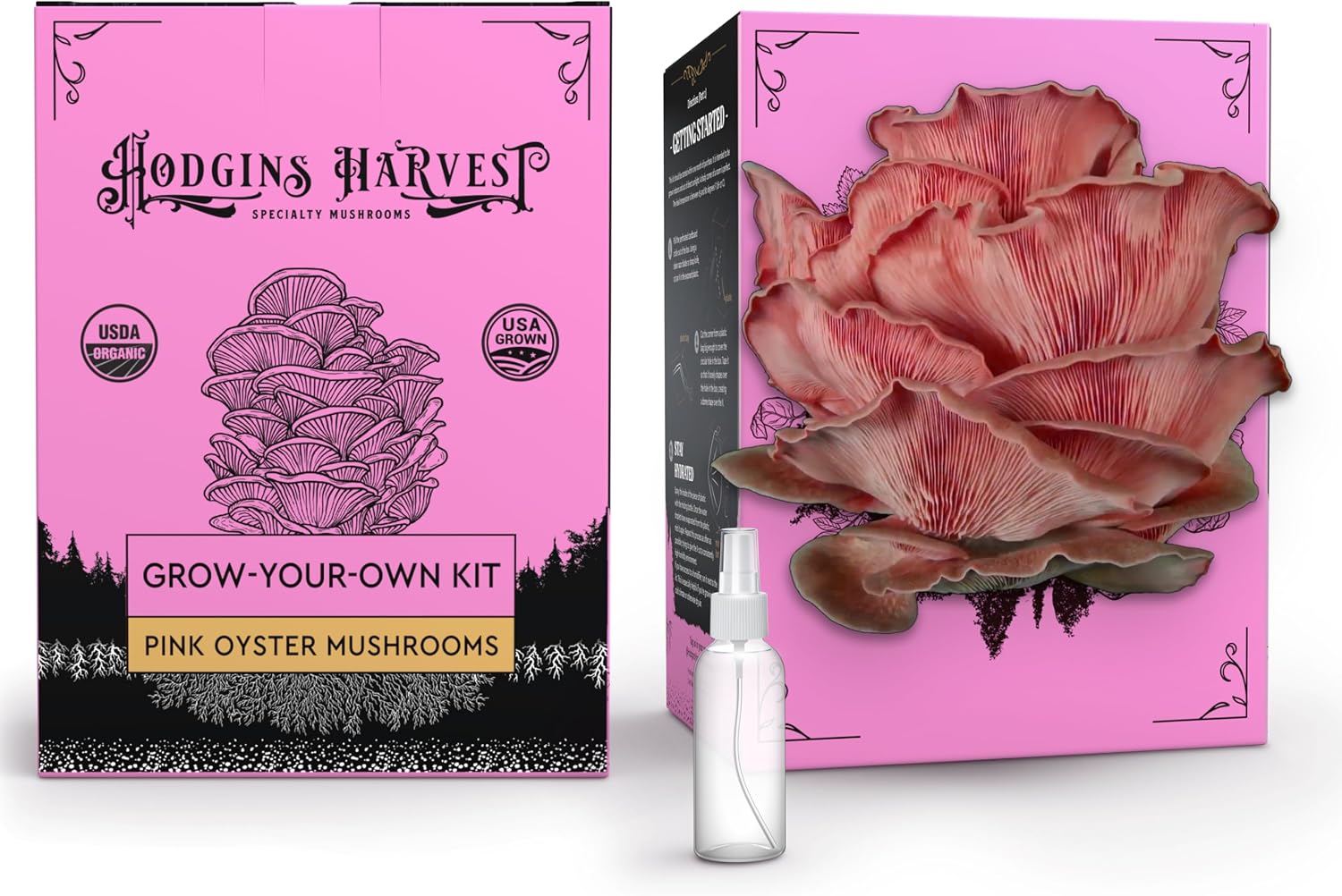Hodgins Harvest Pink Oyster Mushroom Grow Kit, 4 lbs