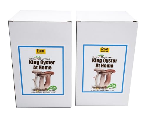 Root Mushroom Farm Two King Oyster Mushroom Grow Kits, 3 lb Each