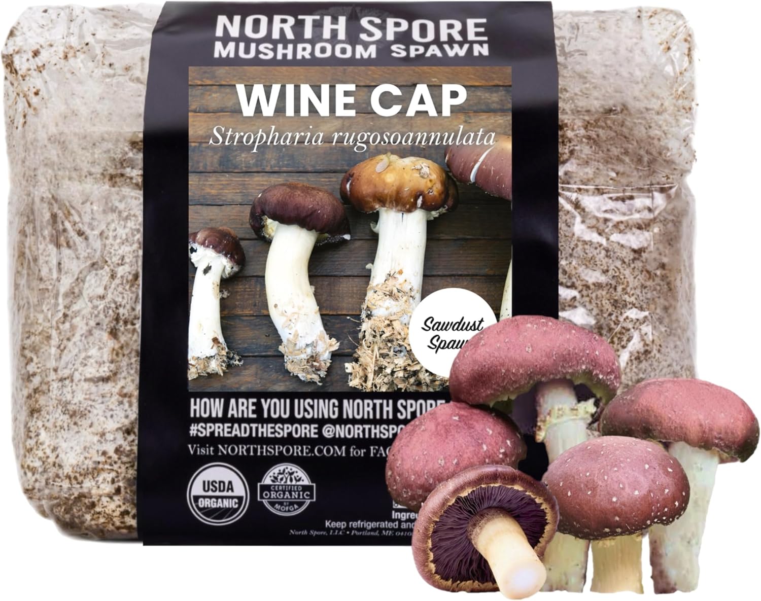 North Spore Organic Wine Cap Mushroom Sawdust Spawn