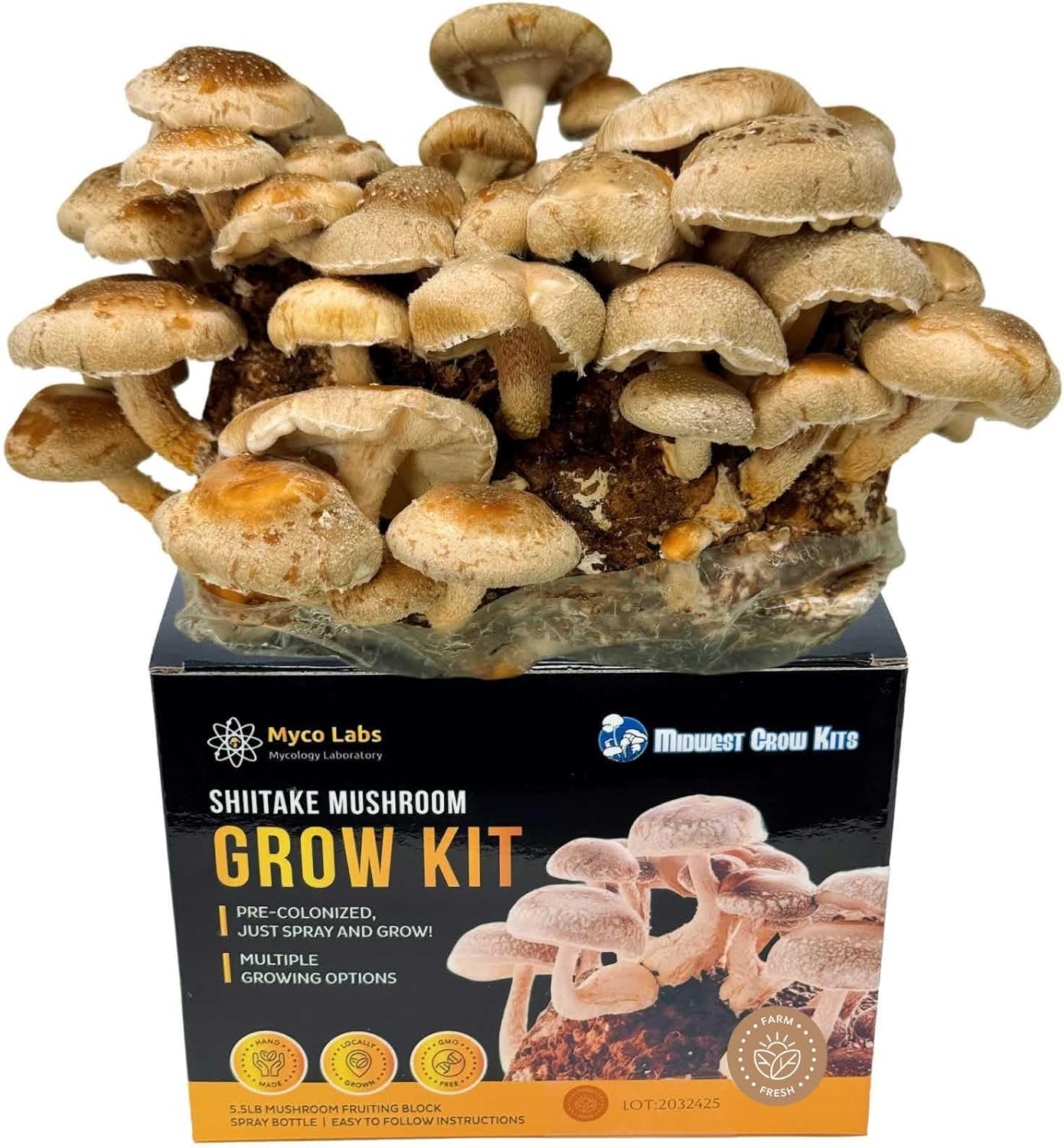 Myco Labs Shiitake Mushroom Grow Kit (5.5 lbs) — Indoor Ready-to-Fruit Block