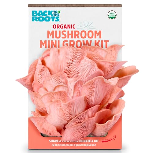 Back to the Roots Organic Pink Miniature Mushroom Grow Kit