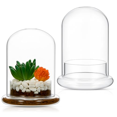Perthlin Glass Terrarium Dome Cloche with Air Hole, 4.7 x 6.3 in