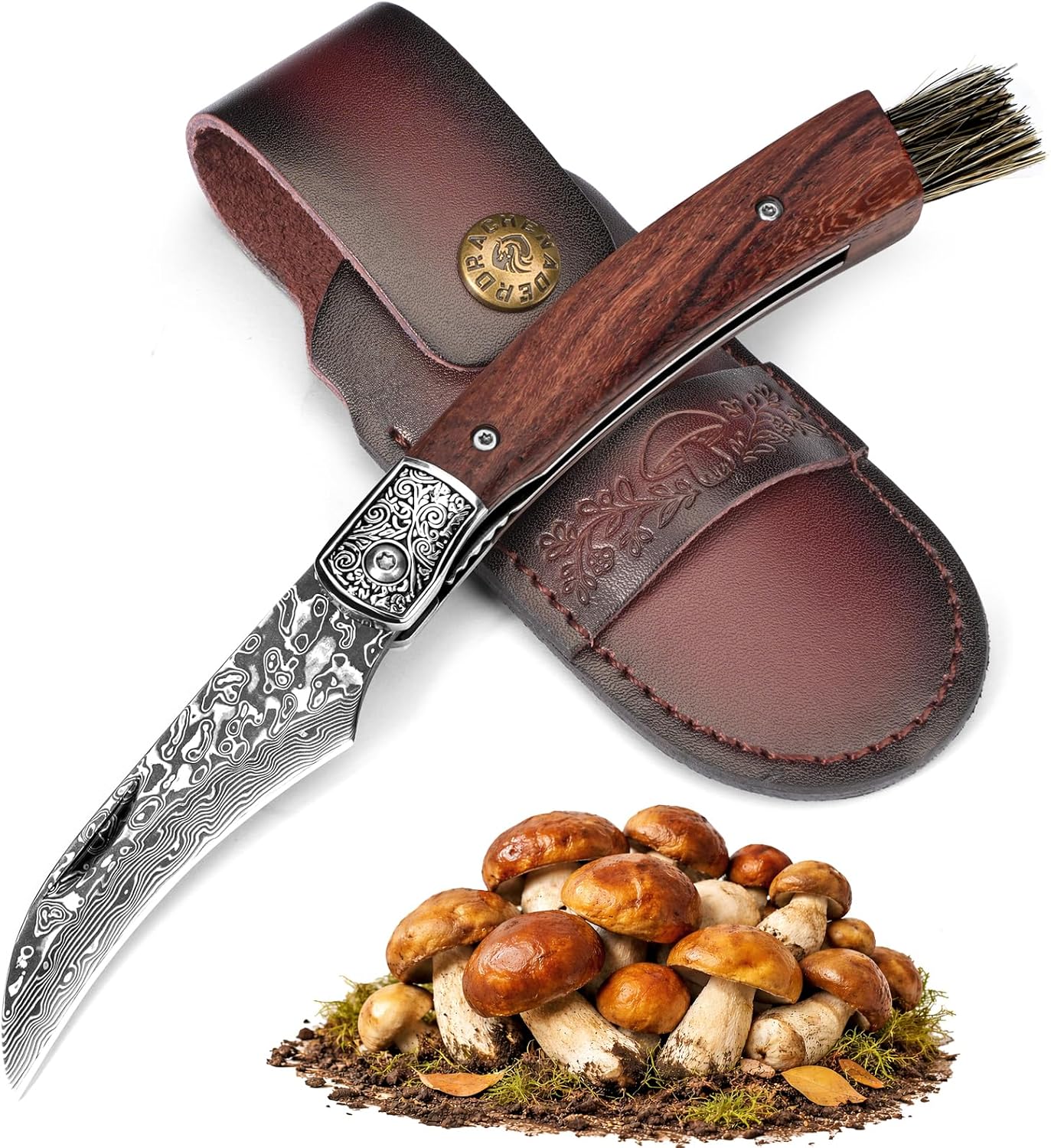 DRACHENADER Mushroom Knife with Brush, Folding Foraging Knife