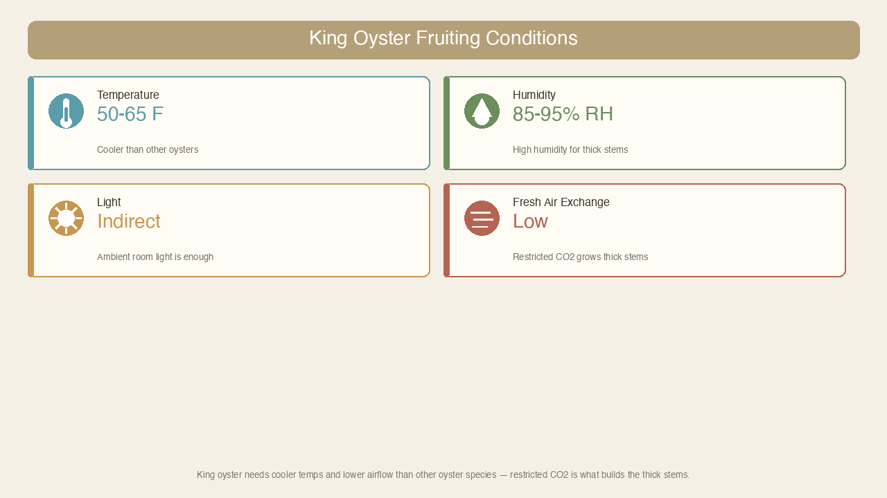 King oyster fruiting conditions table: temperature, humidity, light, and fresh air parameters