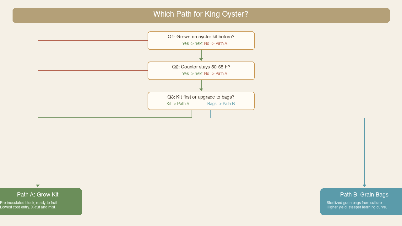 Simple decision flowchart showing three questions that sort first-time growers into Path A kit or Path B bags for king oyster