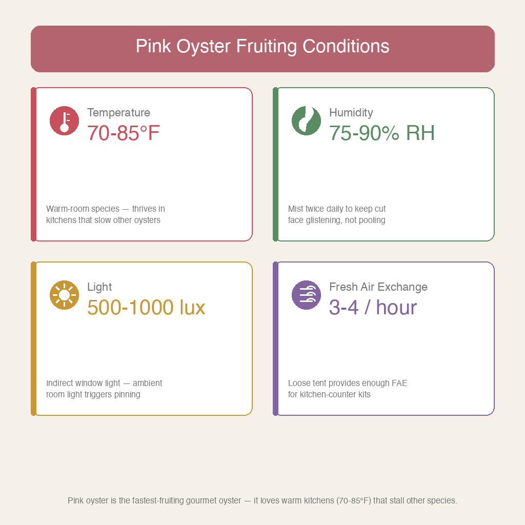 Pink oyster fruiting conditions: temperature, humidity, light, and fresh air exchange ranges