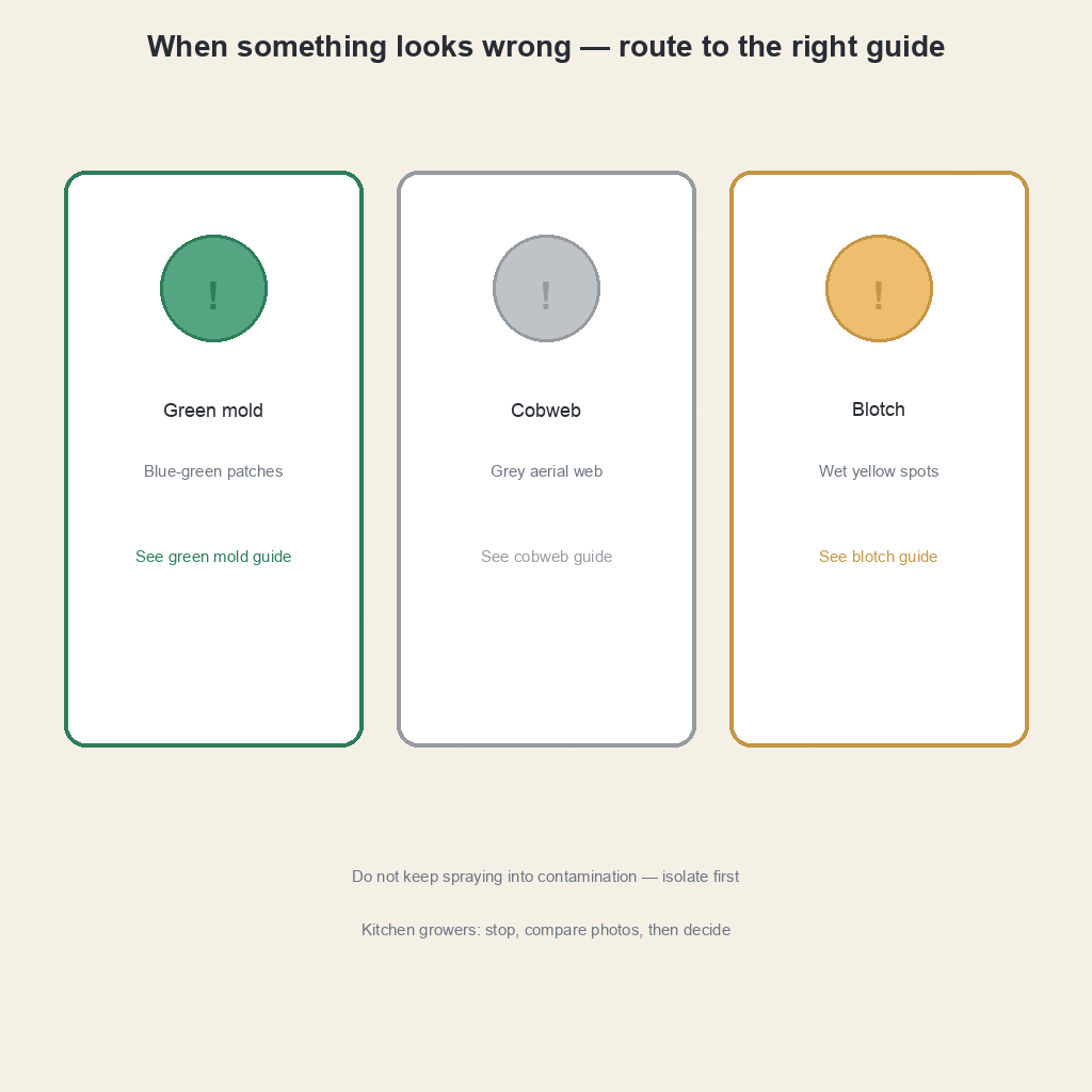 Common apartment kit mistakes to avoid